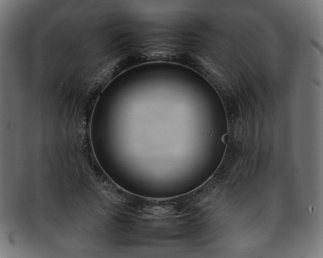 X0000092280737200709141220