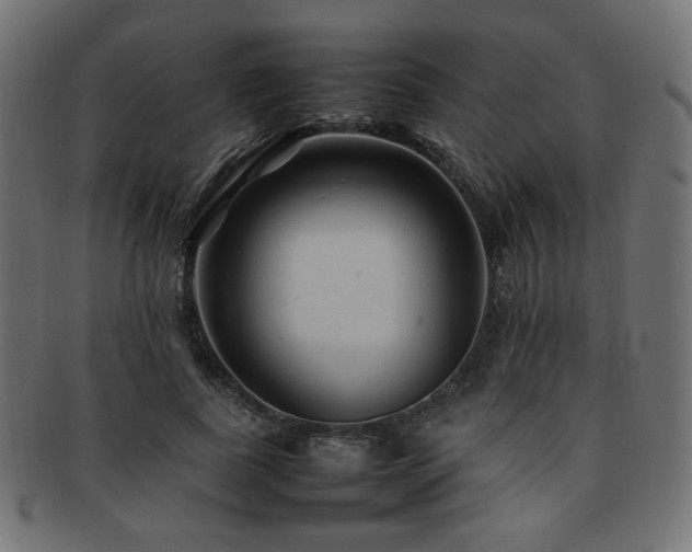 X0000092280739200709141220