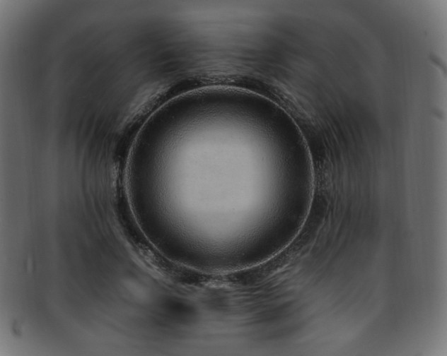 X0000092280742200709141220