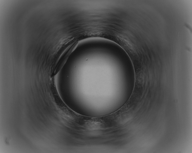 X0000092280743200709141220