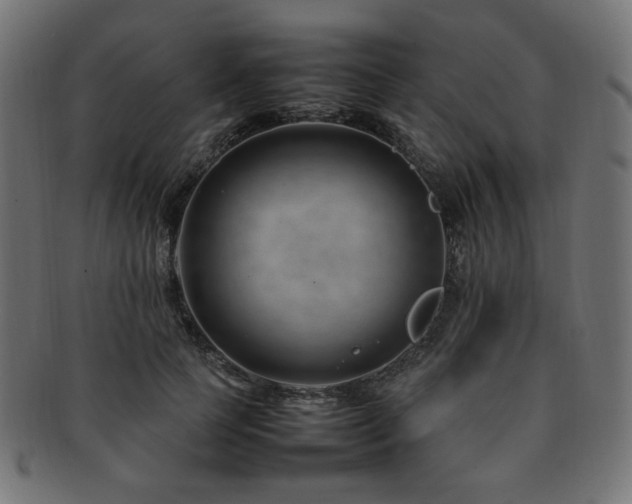 X0000092280745200709141220