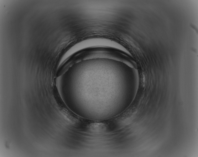 X0000092280748200709141221