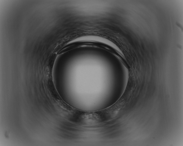 X0000092280752200709141221