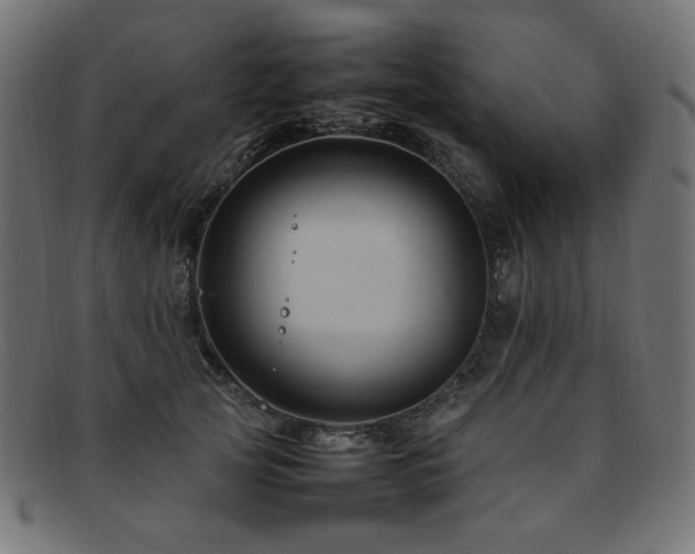 X0000092280753200709141221