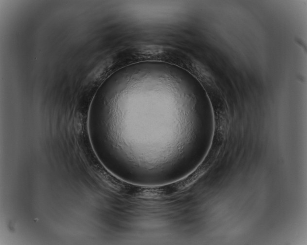 X0000092280758200709141221