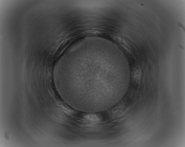 X0000092280759200709141221