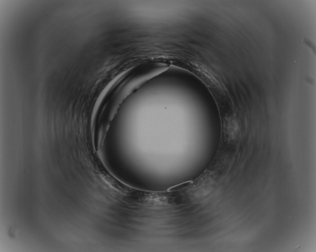 X0000092280760200709141221