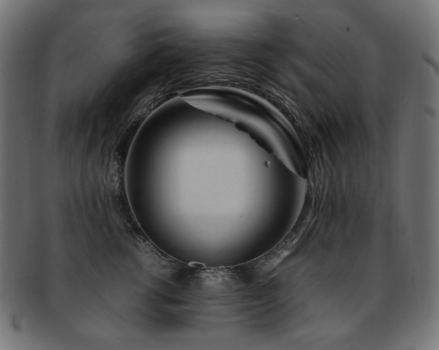 X0000092280762200709141221