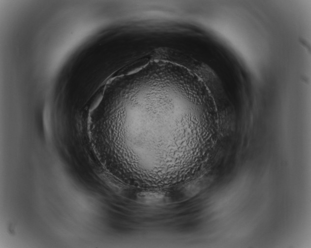 X0000092280765200709141221