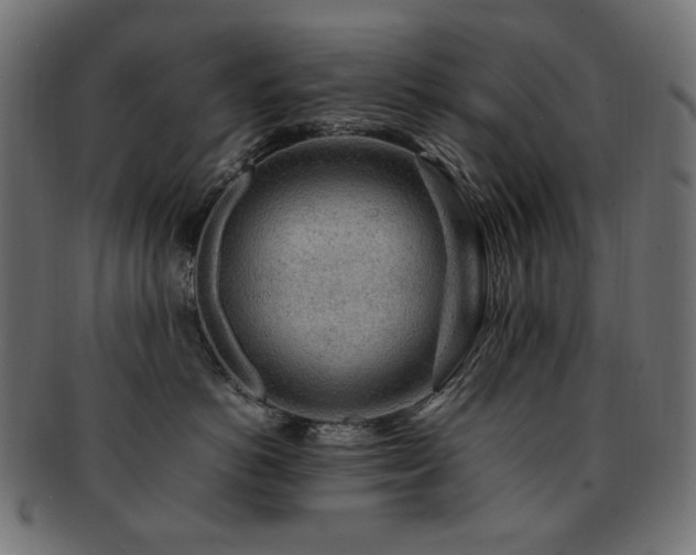 X0000092280766200709141221