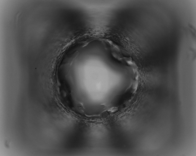 X0000092280769200709141220