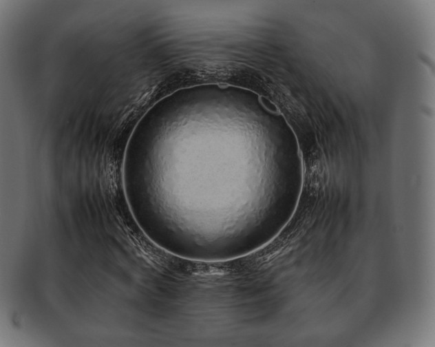 X0000092280772200709141220