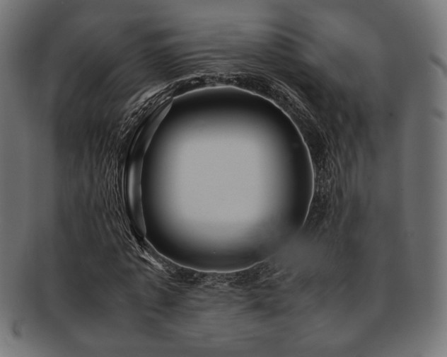 X0000092280773200709141220