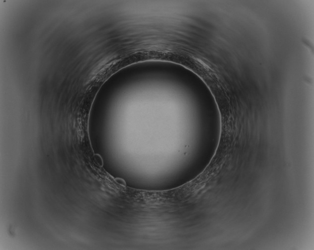 X0000092280774200709141220