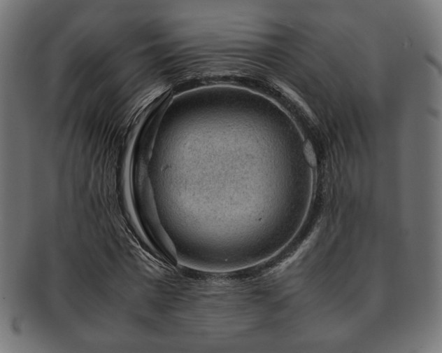 X0000092280777200709141220