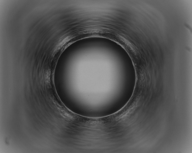 X0000092280778200709141220