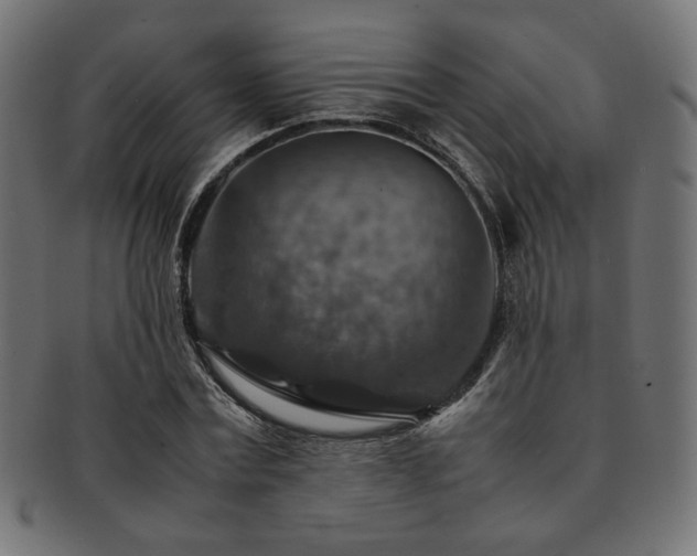 X0000092280779200709141220