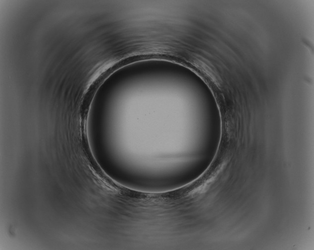 X0000092280781200709141220