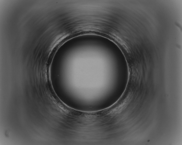 X0000092280782200709141220