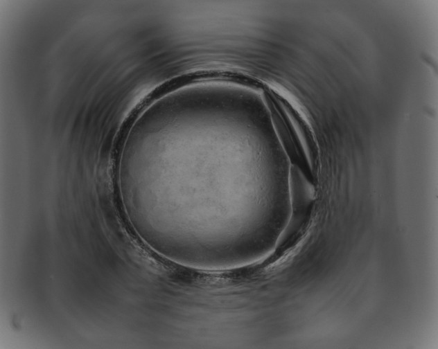 X0000092280783200709141220