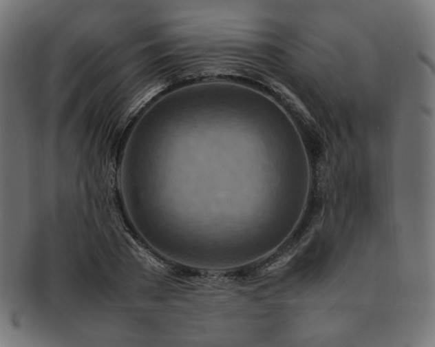 X0000092280785200709141220