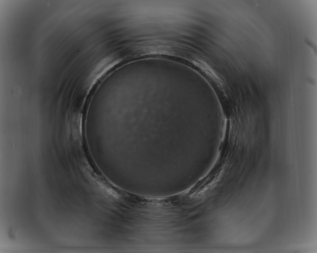 X0000092280790200709141220