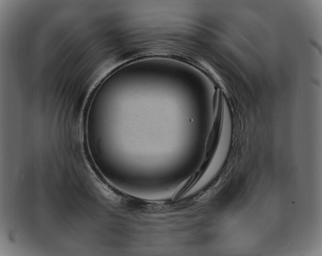 X0000092280795200709141220