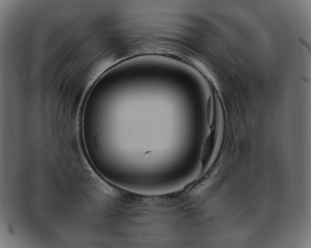 X0000092280803200709141220