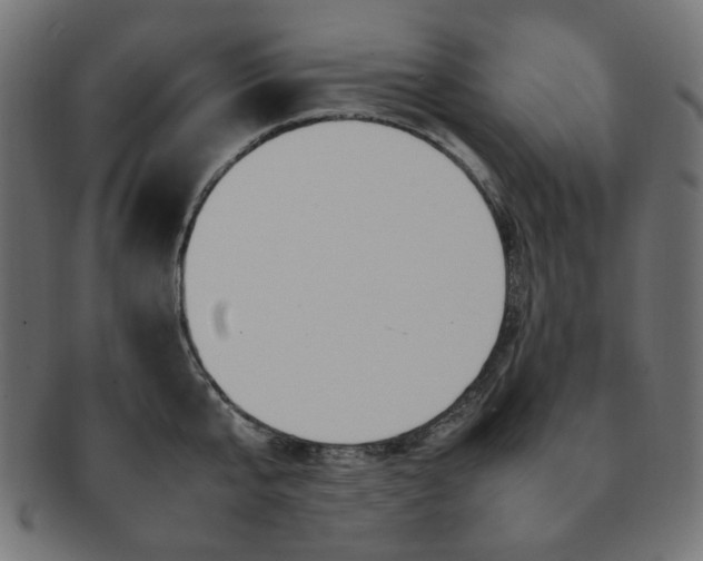 X0000092280807200709141220