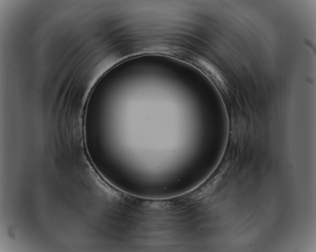 X0000092280808200709141220