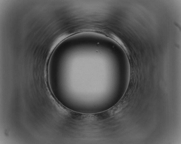 X0000092280811200709141220