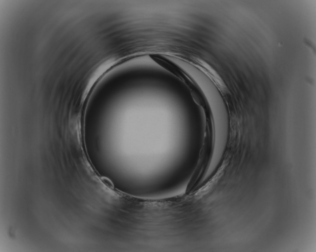 X0000092280812200709141220