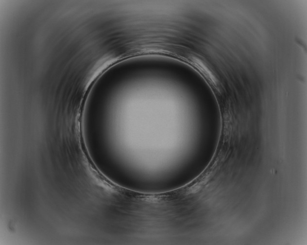 X0000092280814200709141219