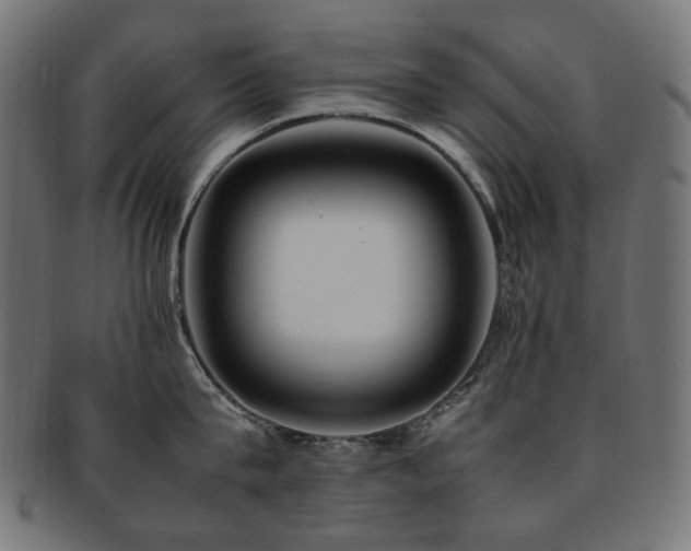 X0000092280815200709141219