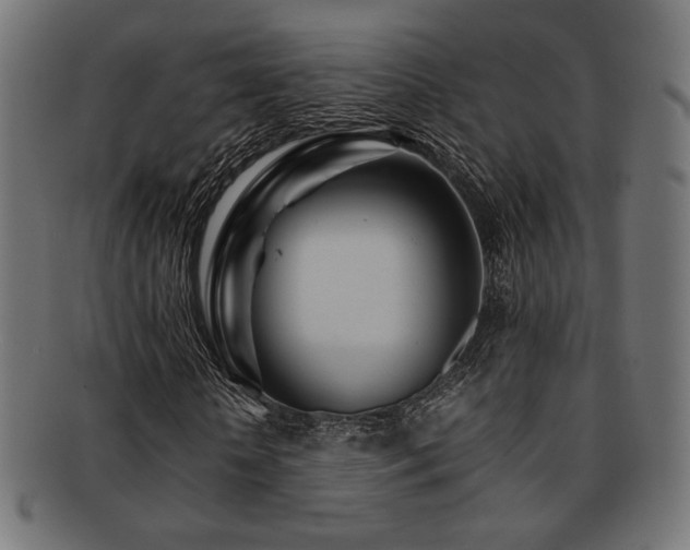 X0000092280818200709141219