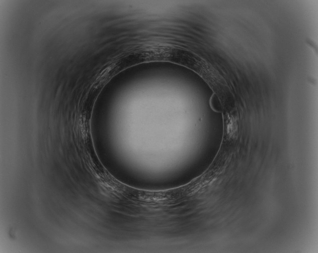 X0000092280819200709141219