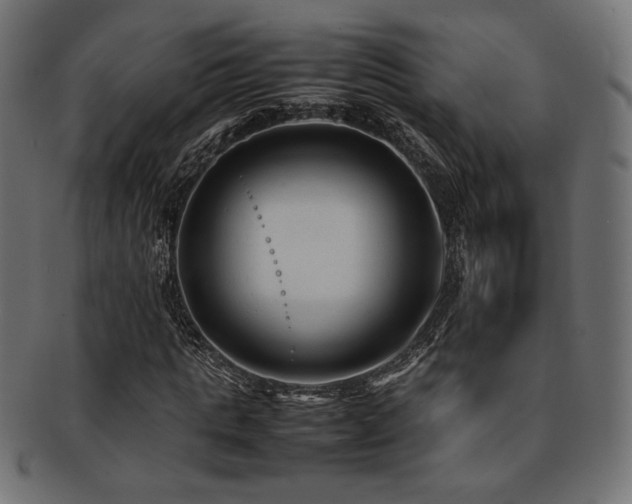 X0000092280821200709141219