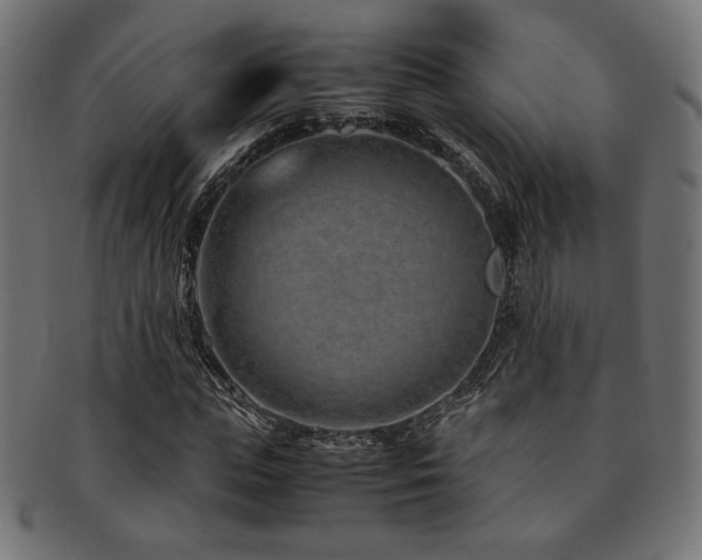 X0000092280823200709141219