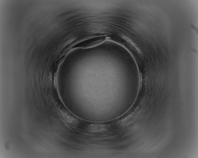 X0000092280825200709141219