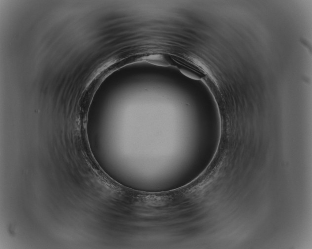 X0000092280827200709141219