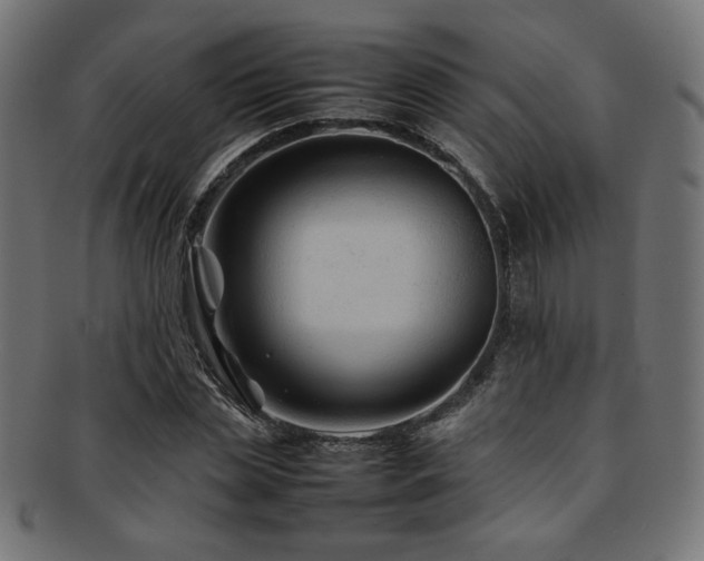 X0000092280829200709141219