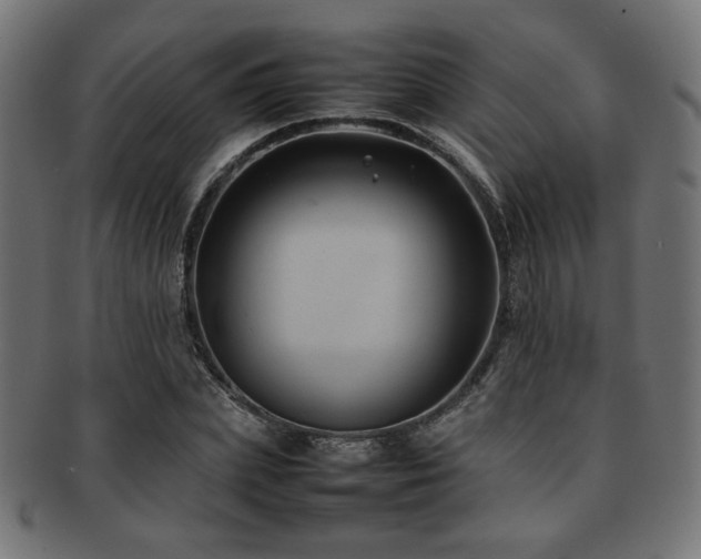 X0000092280831200709141219