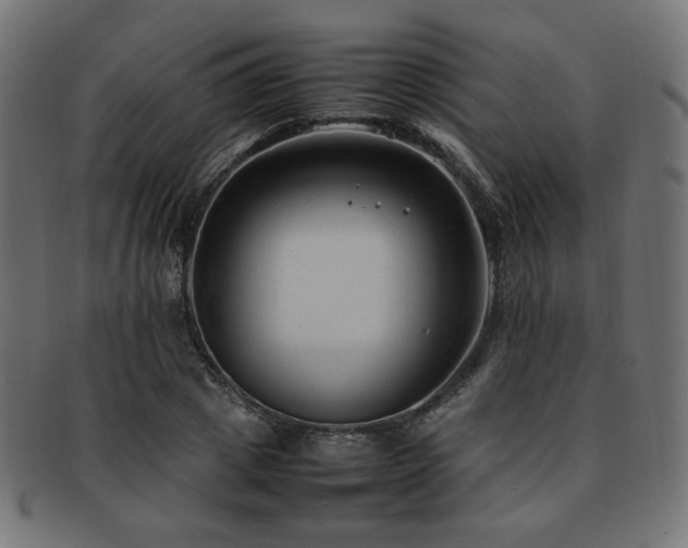 X0000092280833200709141219