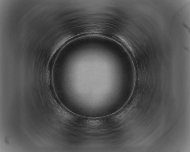 X0000092280835200709141219