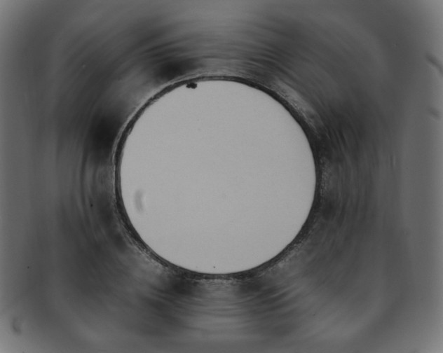 X0000092280836200709141219