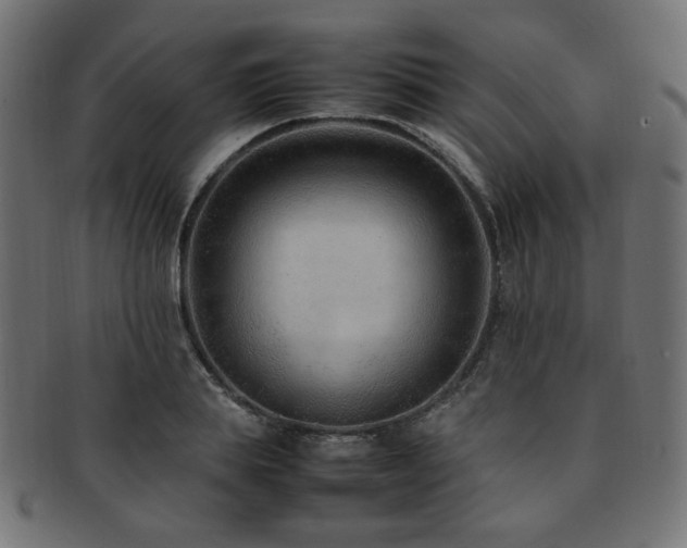 X0000092280839200709141219