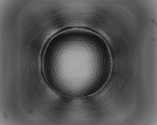 X0000092280840200709141219