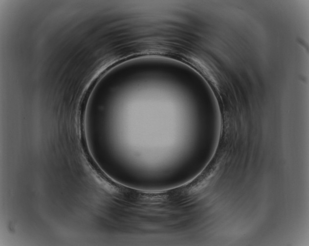 X0000092280843200709141219