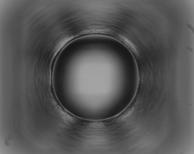 X0000092280844200709141219