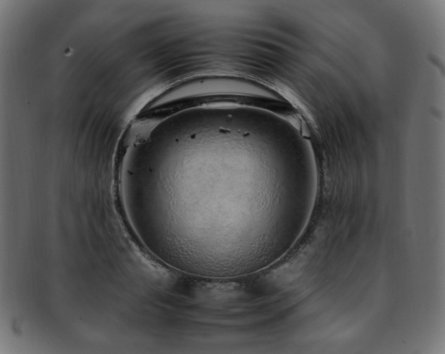 X0000092280845200709141219